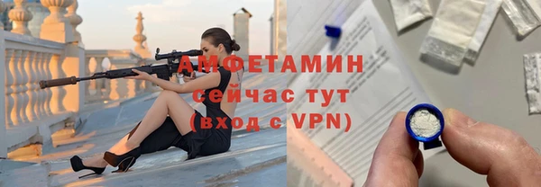 гидра Арсеньев