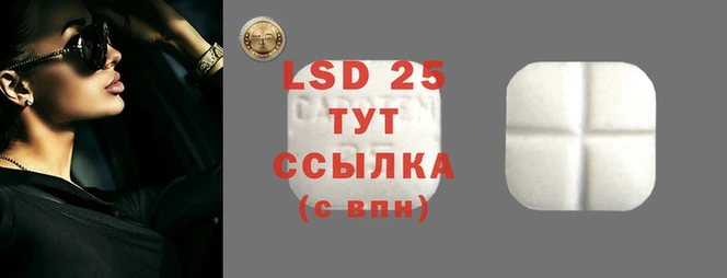 MESCALINE Аркадак