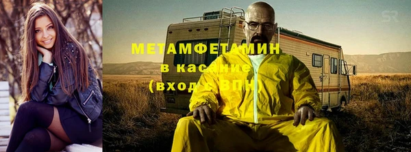 гидра Арсеньев