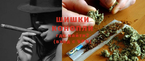 гидра Арсеньев